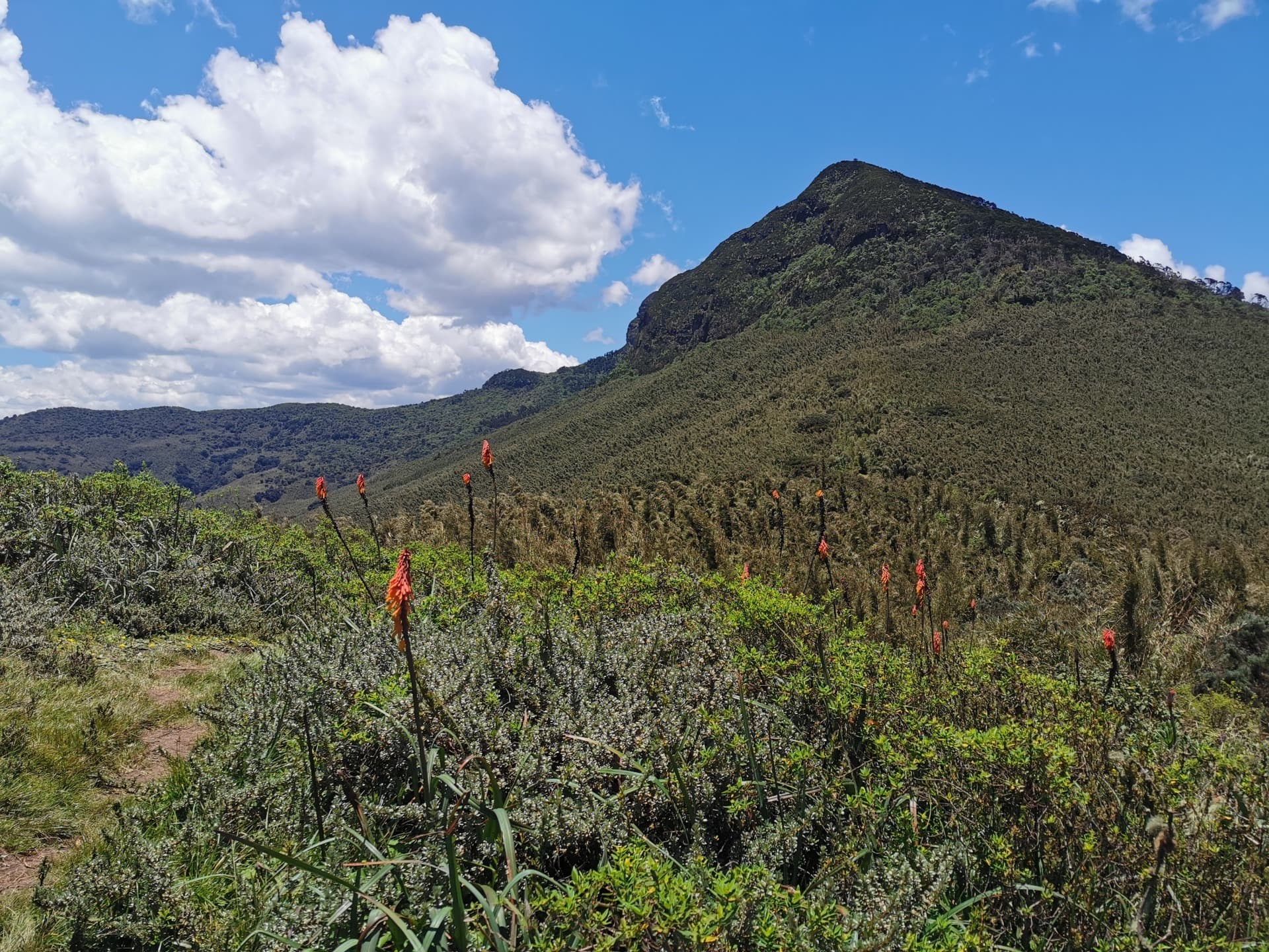 El Parque Nacional de Aberdare