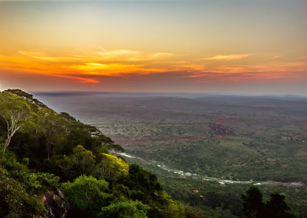 Reserva Nacional de Shimba Hills