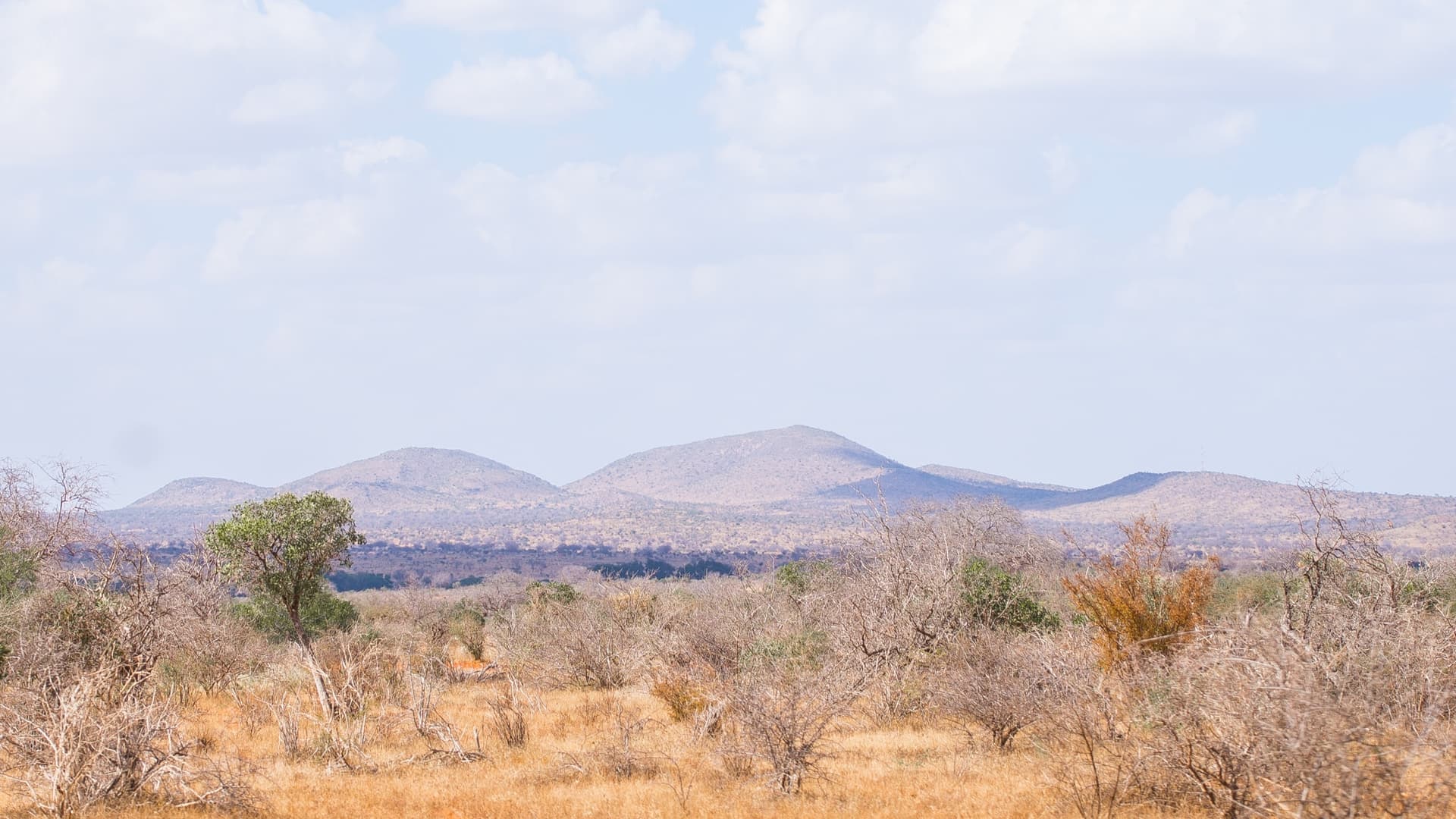 Parque Nacional Chyulu Hills